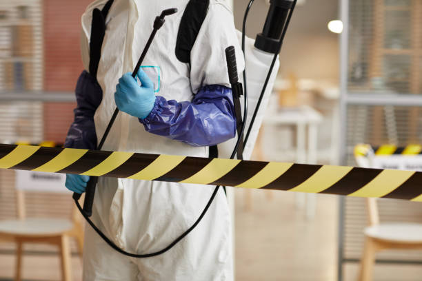 Professional Sewage Cleanup technician working in Greenfield, CA